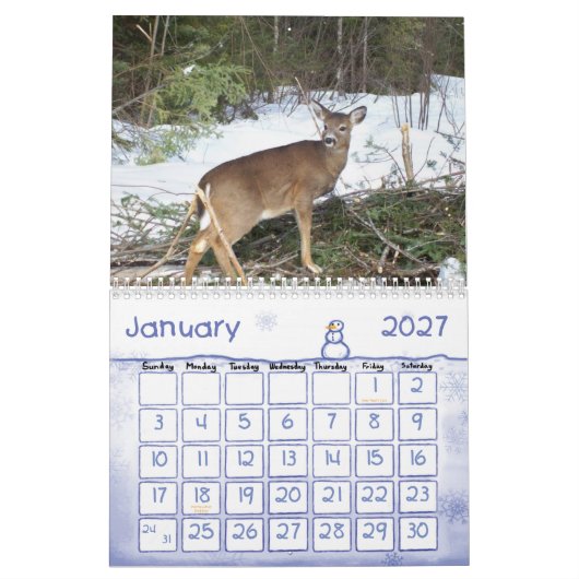 Maine Bossen & Waters 2013 Calender Kalender (Jan 2027)