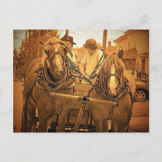  Maine Briefkaart (Voorkant)