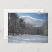 Maine Briefkaart (Voorkant / Achterkant)