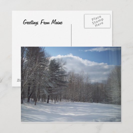 Maine Briefkaart (Voorkant / Achterkant)