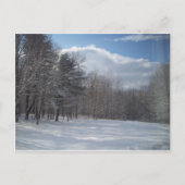 Maine Briefkaart (Voorkant)