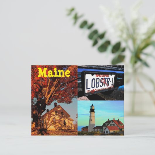 Maine Briefkaart (Staand voorkant)