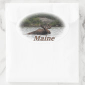 Maine Bull Moose Ovale Sticker (Tas)