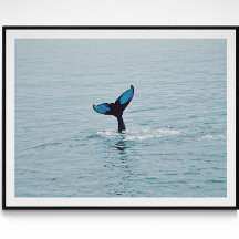 Maine bultrug walvis staart