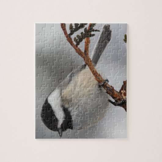 Maine Chickadee Legpuzzel (Verticaal)