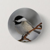 Maine Chickadee Ronde Button 5,7 Cm (Voorkant)
