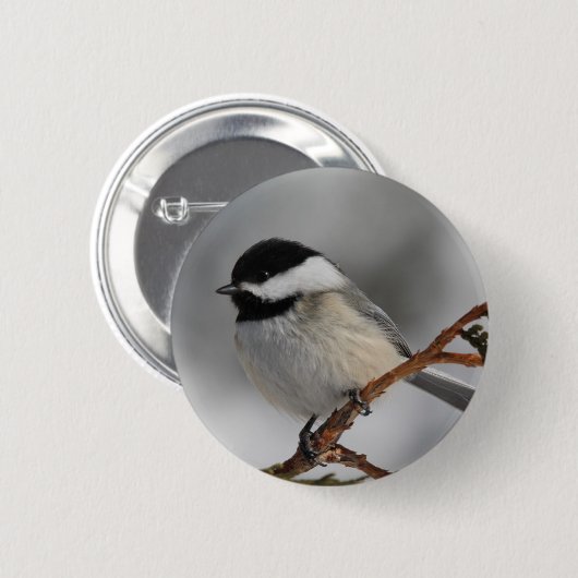 Maine Chickadee Ronde Button 5,7 Cm (Voorkant /achterkant)