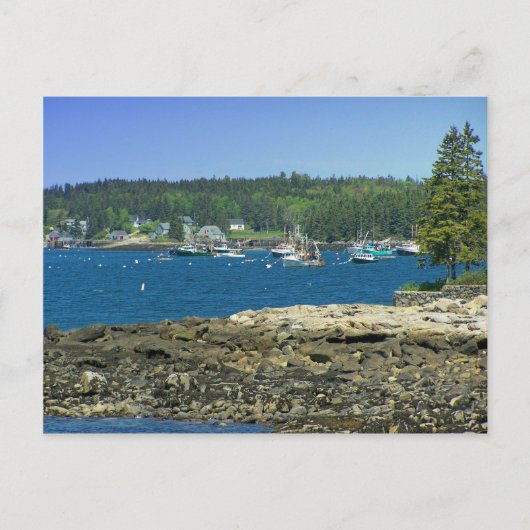 Maine Coast Briefkaart (Voorkant)