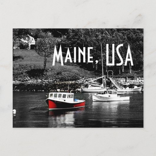 Maine Color On Black Boat Postcard Briefkaart (Voorkant)