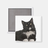 Maine Coon (15 maanden oud) Magneet (Voorkant / Achterkant)