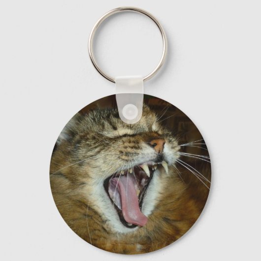 Maine coon 2 sleutelhanger (Voorkant)