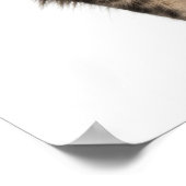 Maine Coon (8 maanden oud) 2 Poster (Hoek)