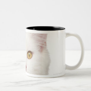 Maine Coon (8 maanden oud) 2 Tweekleurige Koffiemok
