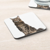 Maine Coon (8 maanden oud) Drankjes Onderzetter (Linkerzijde)