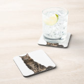 Maine Coon (8 maanden oud) Drankjes Onderzetter (Rechterzijde)