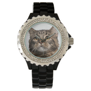 Maine Coon (8 maanden oud) Horloge