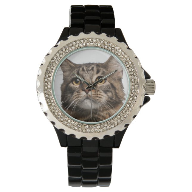 Maine Coon (8 maanden oud) Horloge (Voorkant)
