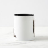 Maine Coon (8 maanden oud) Mok (Midden)