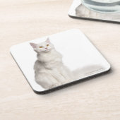 Maine Coon (8 maanden oud) zittend Onderzetter (Linkerzijde)