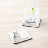 Maine Coon (8 maanden oud) zittend Onderzetter (Rechterzijde)