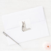 Maine Coon (8 maanden oud) zittend Vierkante Sticker (Envelop)