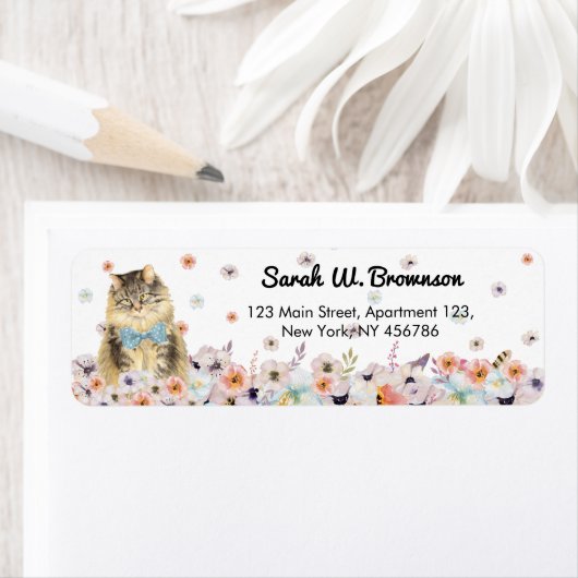 Maine Coon American Cat blue bowette Etiket (Insitu)