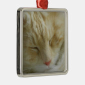 Maine Coon Bentley slaapt Metalen Ornament (Rechts)