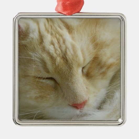 Maine Coon Bentley slaapt Metalen Ornament (Voorkant)