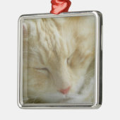 Maine Coon Bentley slaapt Metalen Ornament (Links)
