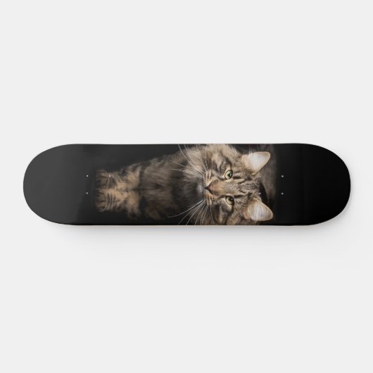 Maine Coon big cat  Persoonlijk Skateboard (Horizontaal)