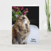 Maine Coon Birthday Kaart (Voorkant)