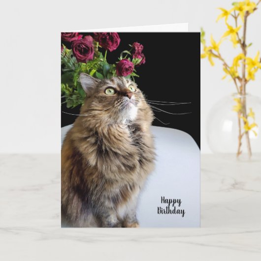 Maine Coon Birthday Kaart (Gele Bloem)