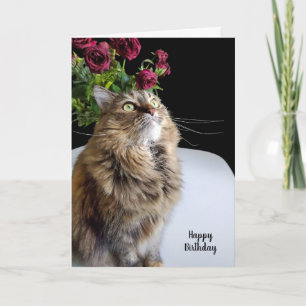 Maine Coon Birthday Kaart
