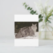 maine coon briefkaart (Staand voorkant)