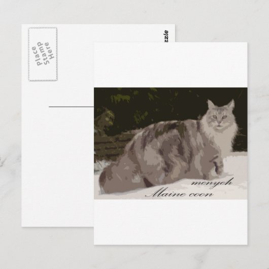 maine coon briefkaart (Voorkant / Achterkant)