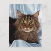 Maine Coon, bruin tafelblad Briefkaart (Voorkant)
