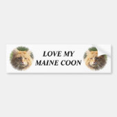 maine coon bumpersticker (Voorkant)