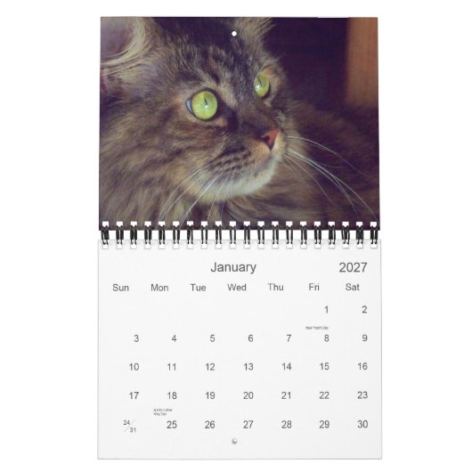Maine Coon Calendar 2010 Kalender (Jan 2027)