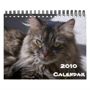 Maine Coon Calendar 2010 Kalender