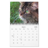 Maine Coon Calendar 2010 Kalender (Mar 2026)