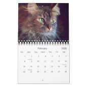 Maine Coon Calendar 2010 Kalender (Feb 2026)