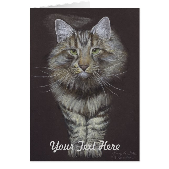 Maine Coon Cat (Voorkant)