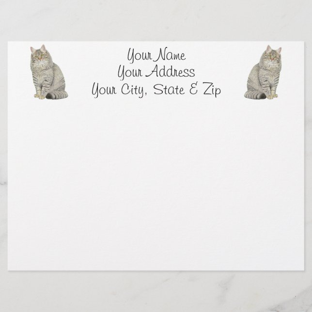 Maine Coon Cat (Voorkant)
