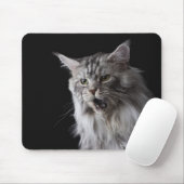 Maine Coon cat 2 Muismat (Met muis)
