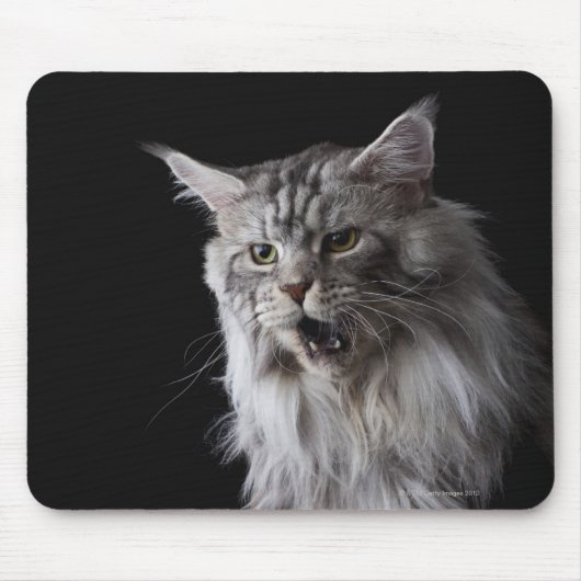 Maine Coon cat 2 Muismat (Voorkant)