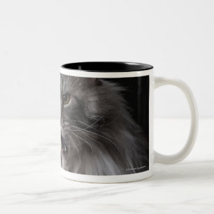 Maine Coon cat 2 Tweekleurige Koffiemok