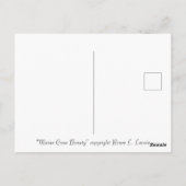 Maine coon cat art. door Renee Lavoie Briefkaart (Achterkant)