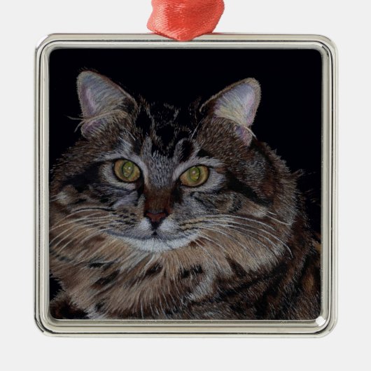 Maine Coon Cat Art Ornament (Voorkant)