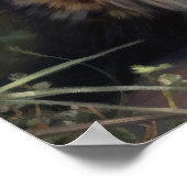 Maine Coon Cat Art Print Poster (Hoek)