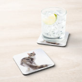 Maine Coon cat Bier Onderzetter (Rechterzijde)